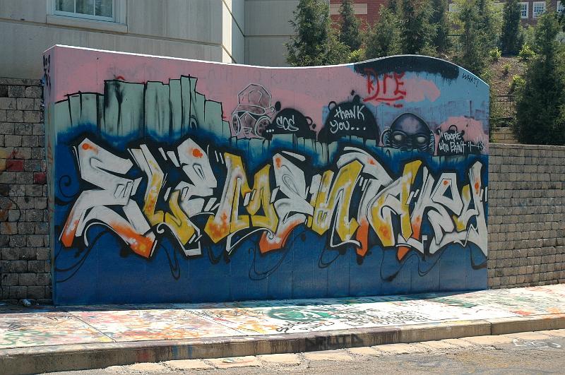 DSC_0385.jpg - West Green-Graffiti Wall